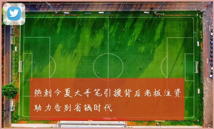 热刺今夏大手笔引援背后老板注资助力告别省钱时代